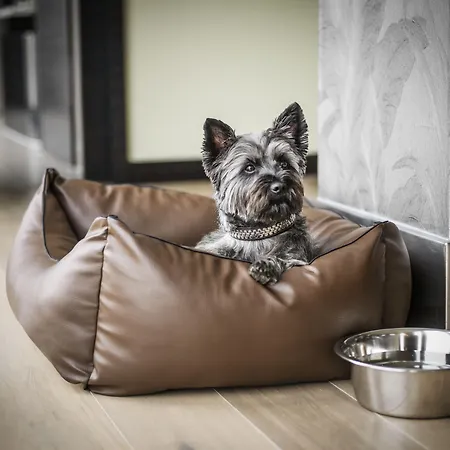 Hyatt Regency Szálloda Düsseldorf