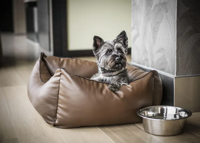 Hyatt Regency Ξενοδοχείο Ντίσελντορφ